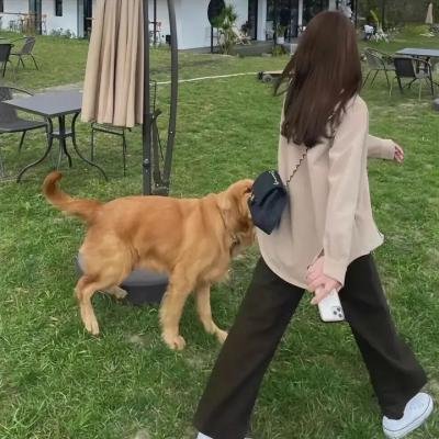 比利·林恩的中场战事